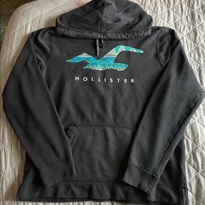 Hollister Logo Hoodie